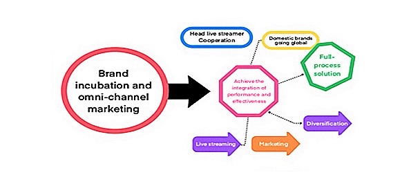 品牌孵化与全域营销